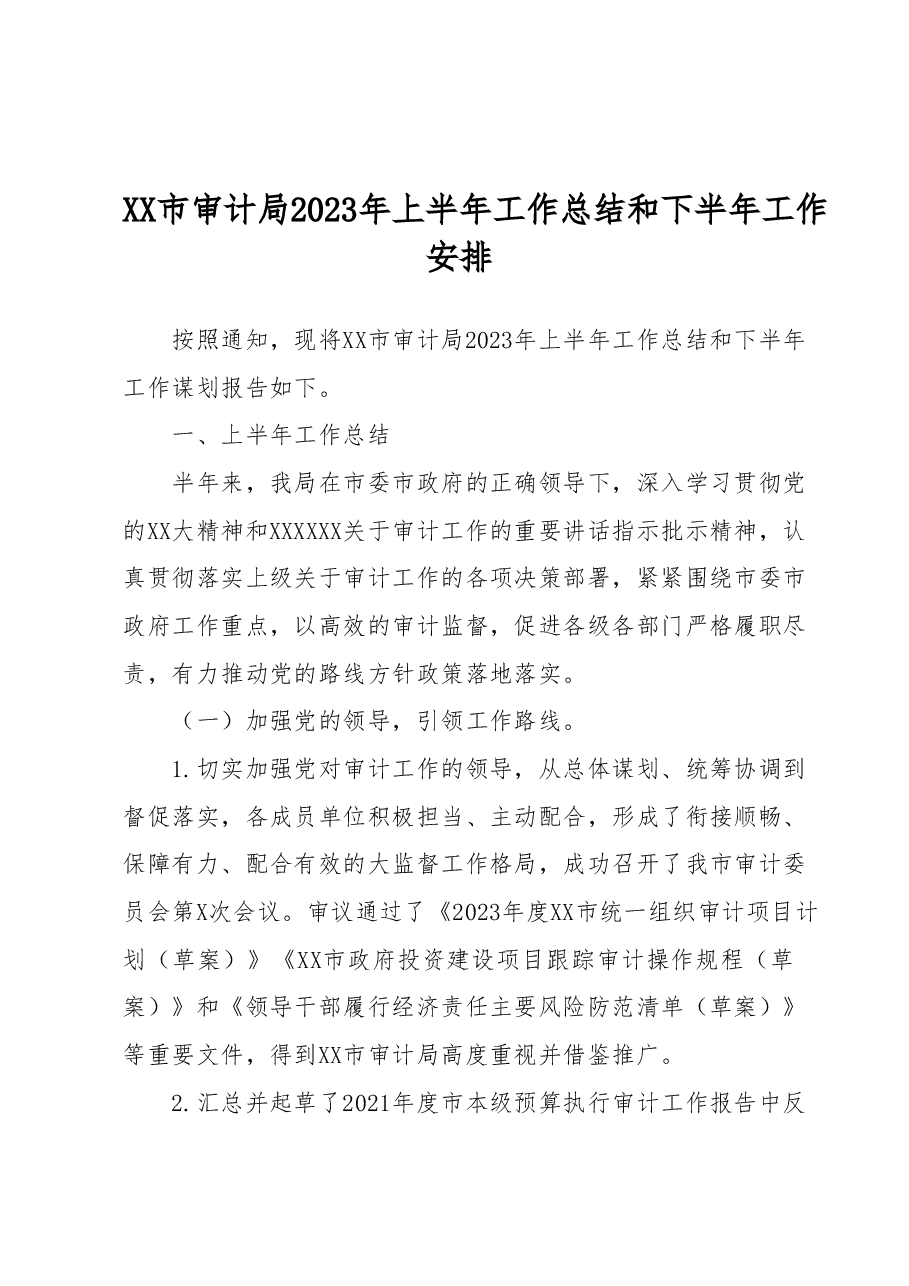 XX市审计局2023年上半年工作总结和下半年工作安排.docx,第1页预览