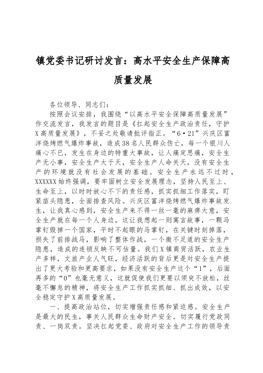 镇党委书记研讨发言:高水平安全生产保障高质量发展.docx,第1页预览