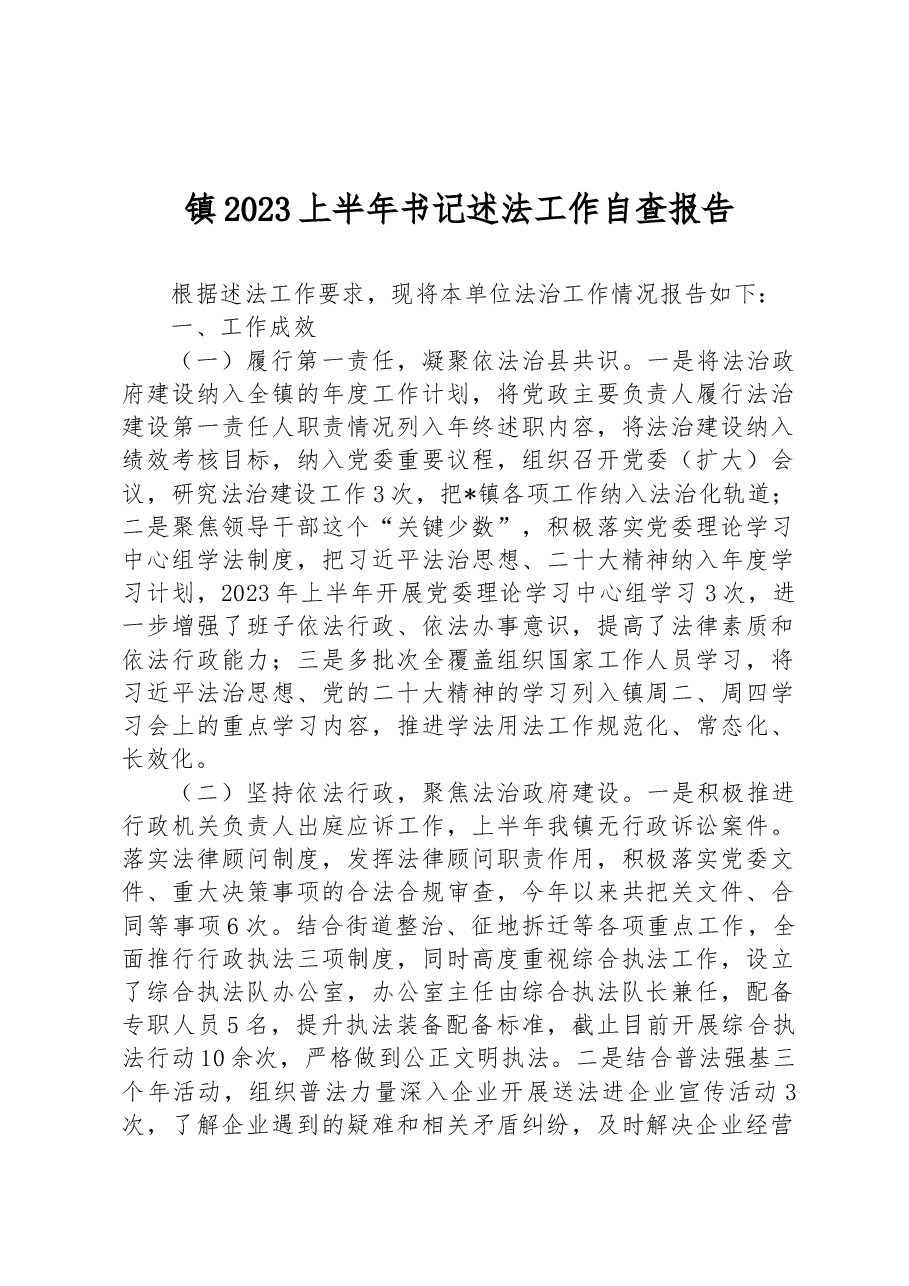镇2023上半年书记述法工作自查报告.docx,第1页预览