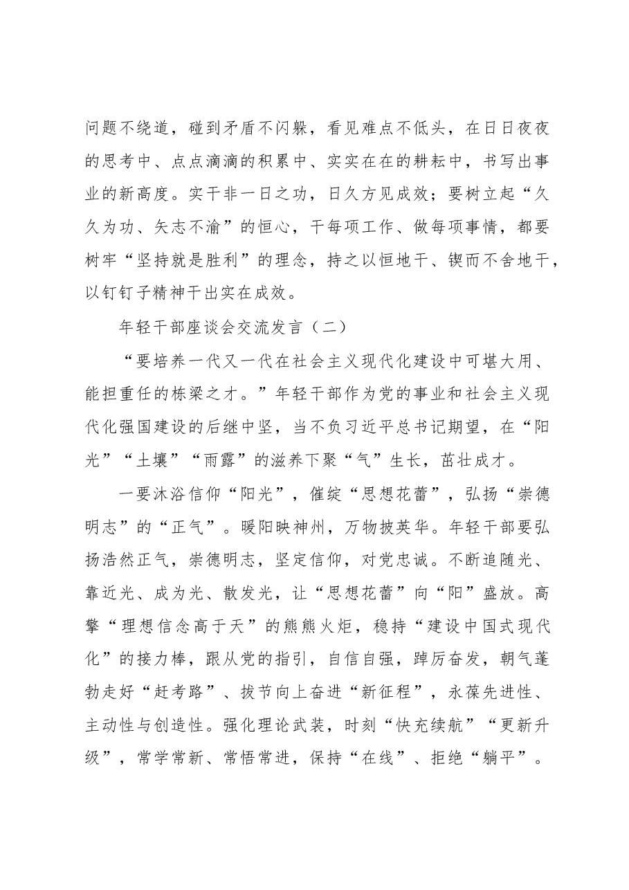年轻干部座谈会交流发言2篇.docx,第3页预览