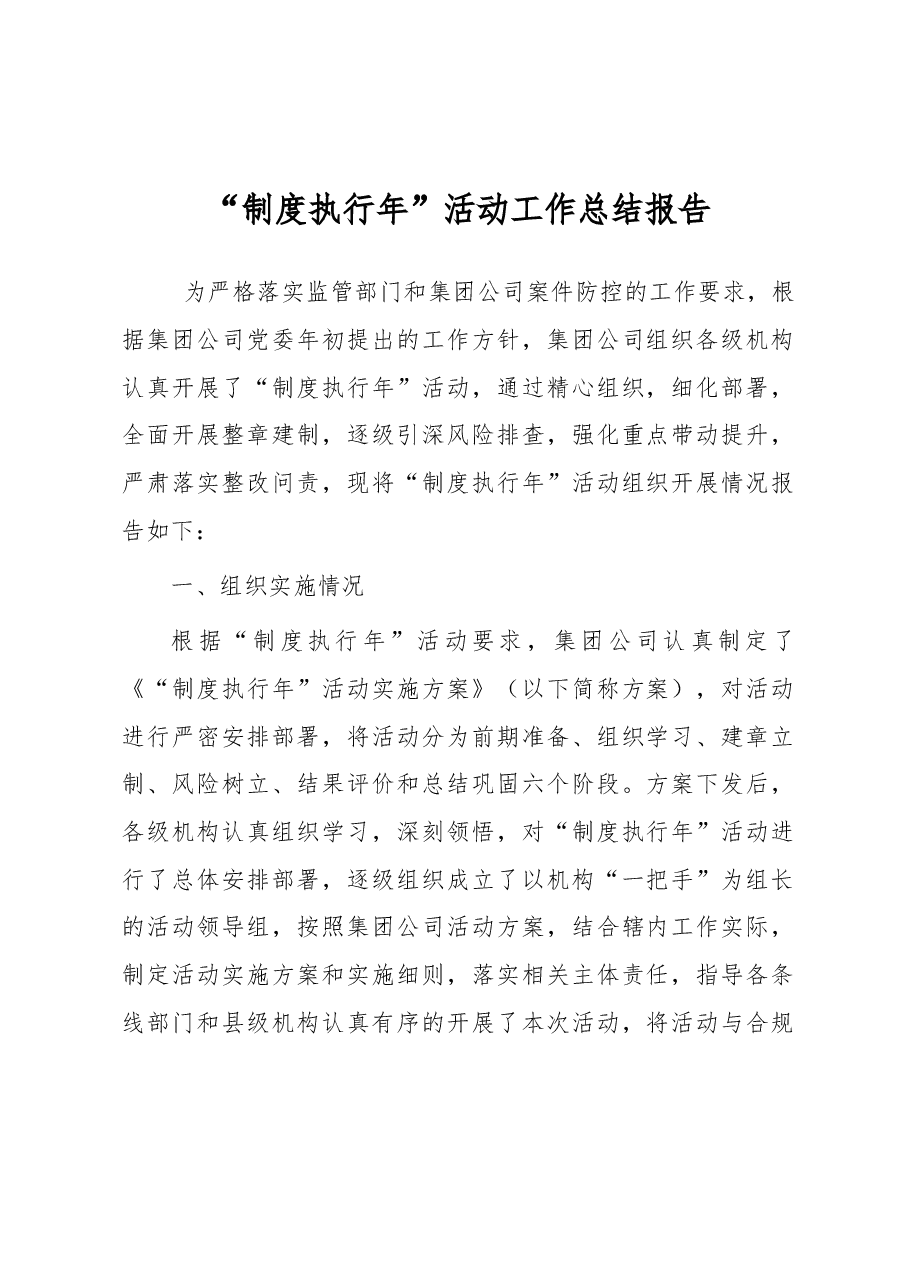 “制度执行年”活动工作总结报告.docx,第1页预览