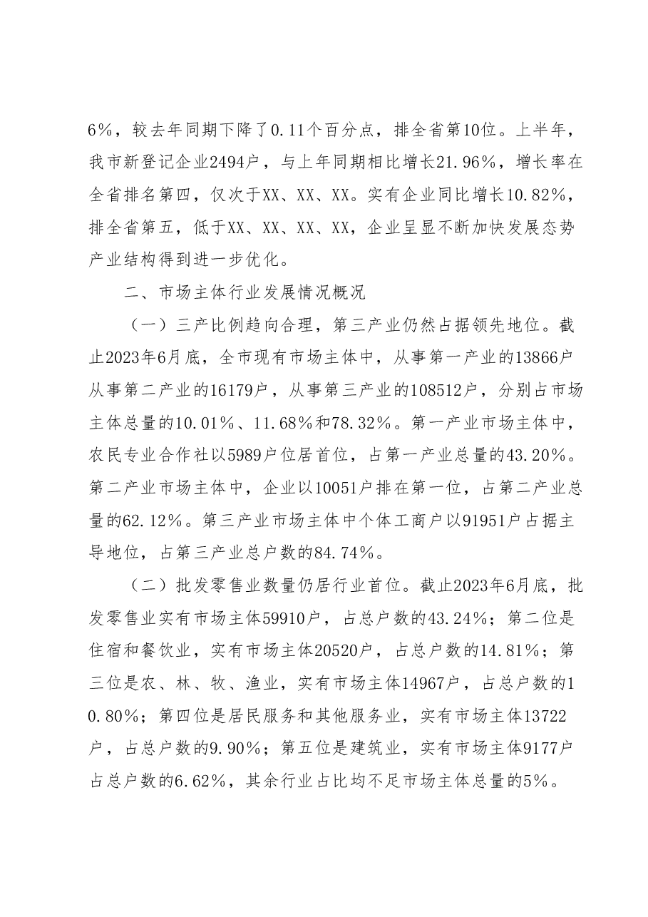 XX市2023年上半年市场主体发展情况报告.docx,第2页预览
