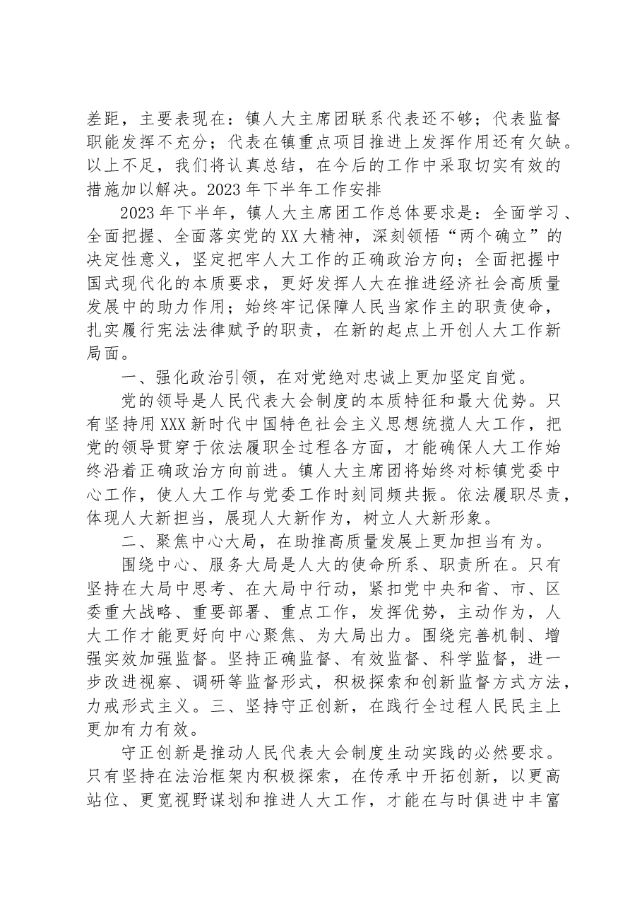 镇2023年上半年人大主席团工作报告.docx，第4页预览