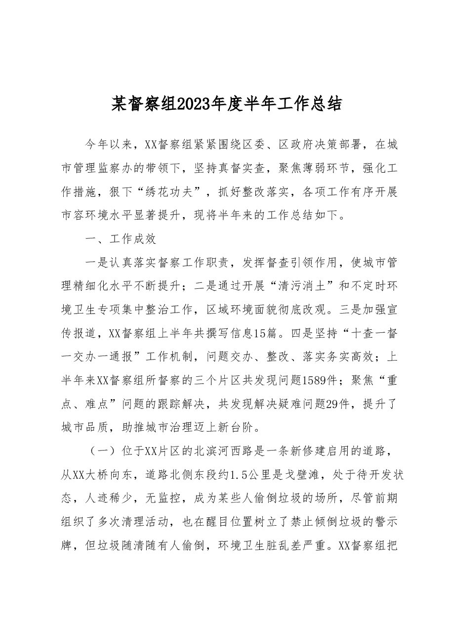 某督察组2023年度半年工作总结.docx,第1页预览