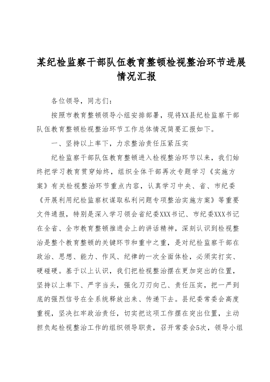 某纪检监察干部队伍教育整顿检视整治环节进展情况汇报.docx,第1页预览