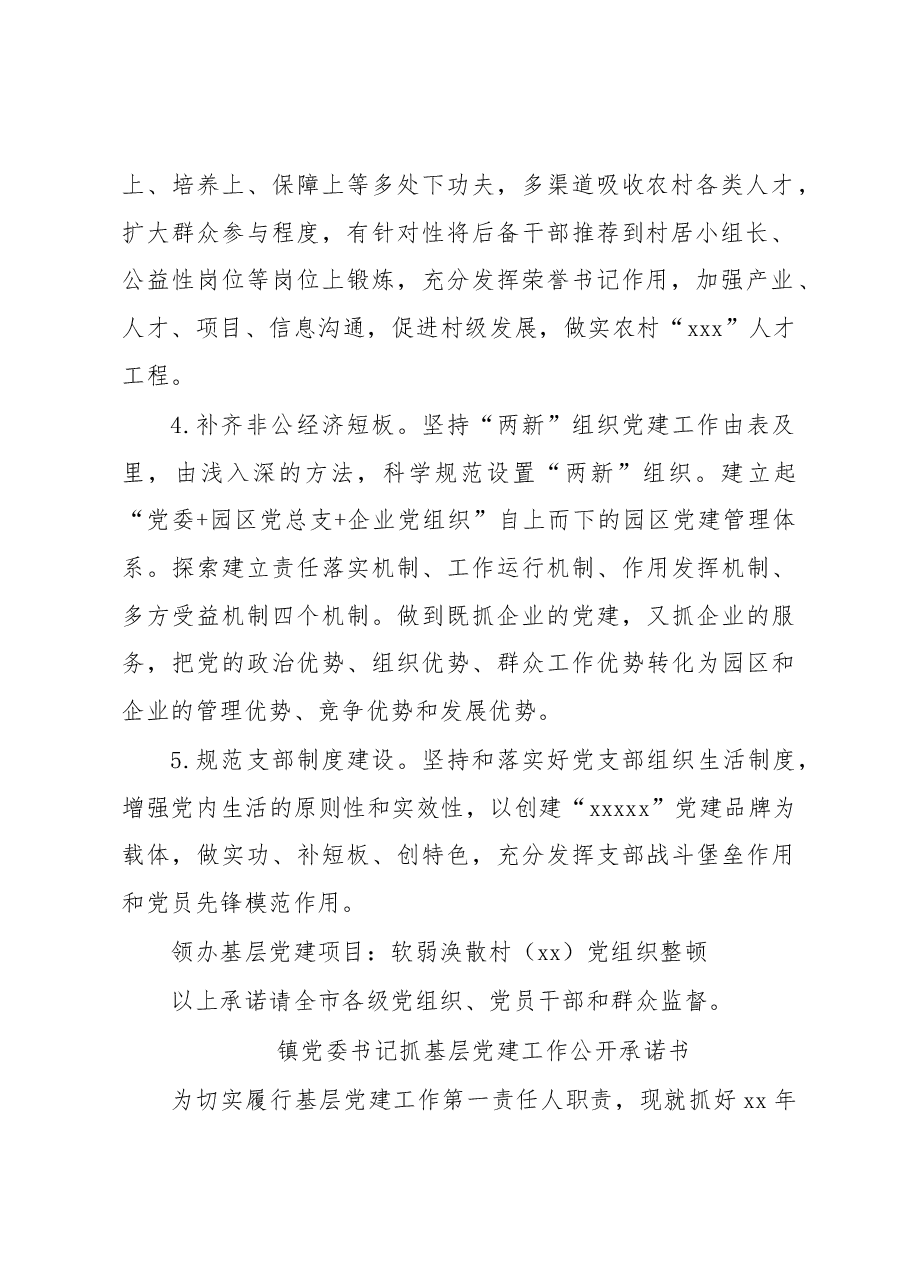 (16篇)党委书记抓基层党建工作公开承诺书汇编(镇乡).docx,第3页预览