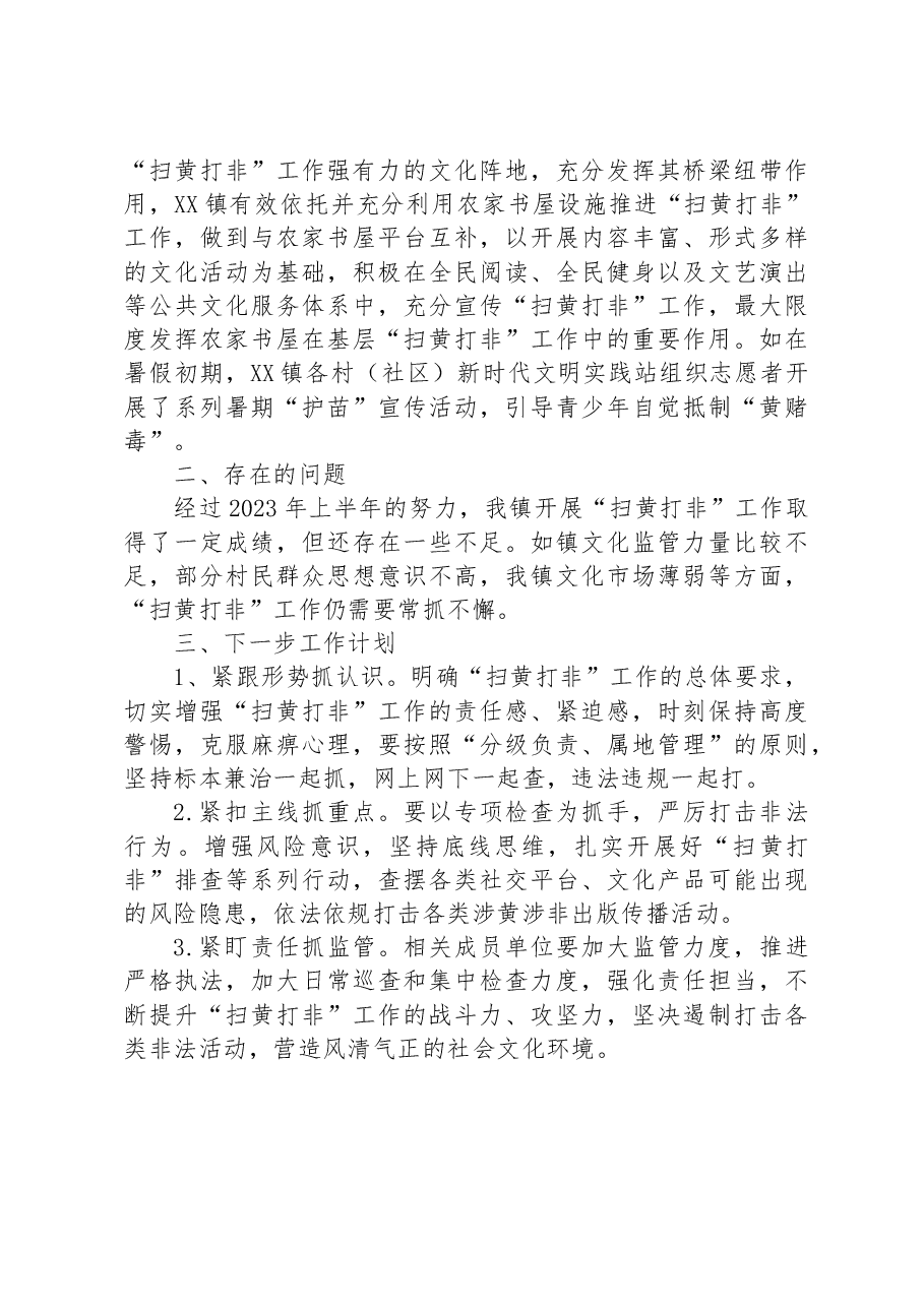 XX镇2023年上半年“扫黄打非”工作总结.docx,第3页预览
