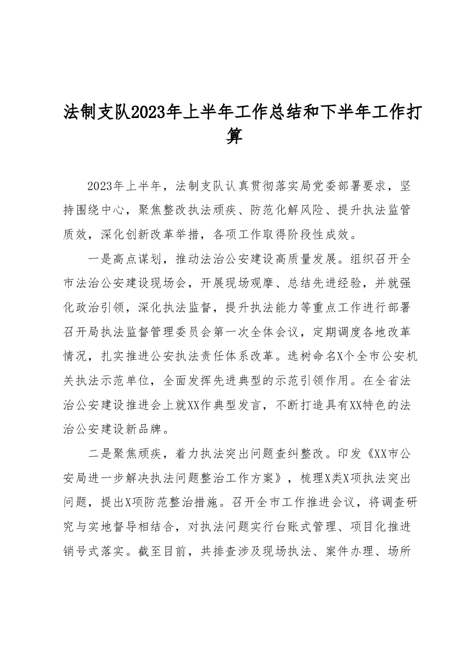 法制支队2023年上半年工作总结和下半年工作打算.docx,第1页预览