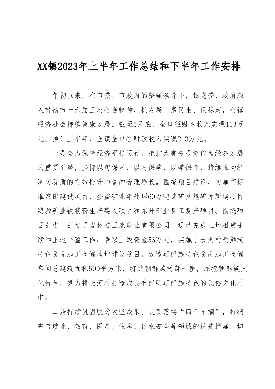 XX镇2023年上半年工作总结 和下半年工作安排.docx,第1页预览