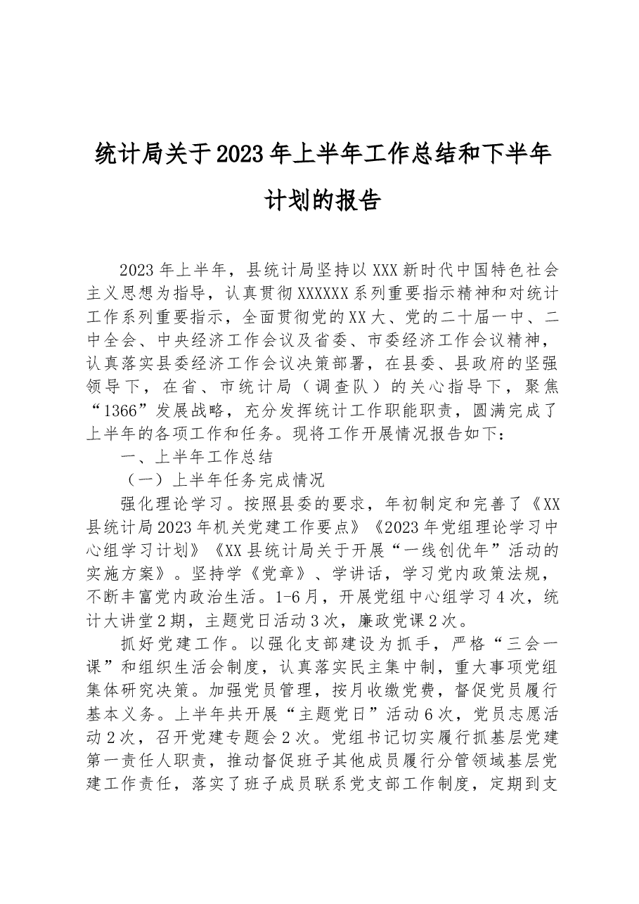 统计局关于2023年上半年工作总结和下半年计划的报告.docx,第1页预览