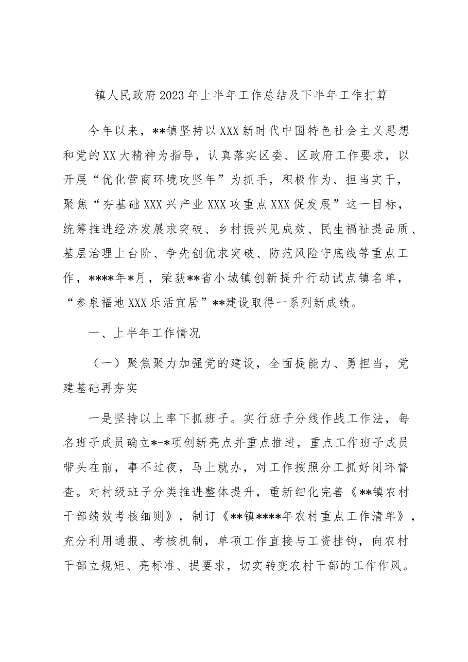 镇人民政府2023年上半年工作总结及下半年工作打算.docx,第1页预览