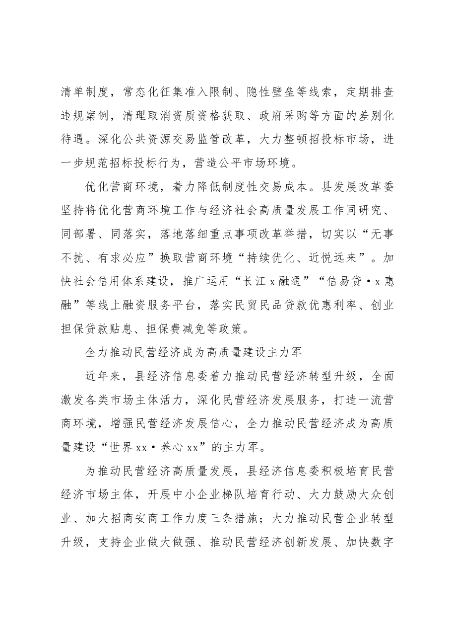 (10篇)在全县推动民营经济高质量发展大会上的发言材料汇编.docx,第3页预览