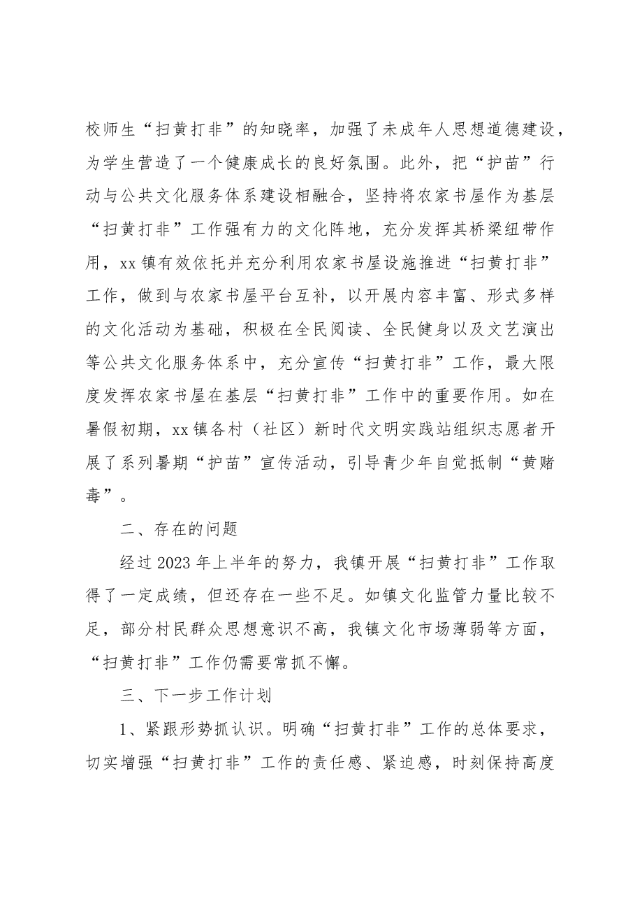 2023年上半年“扫黄打非”工作总结(镇乡).docx,第4页预览