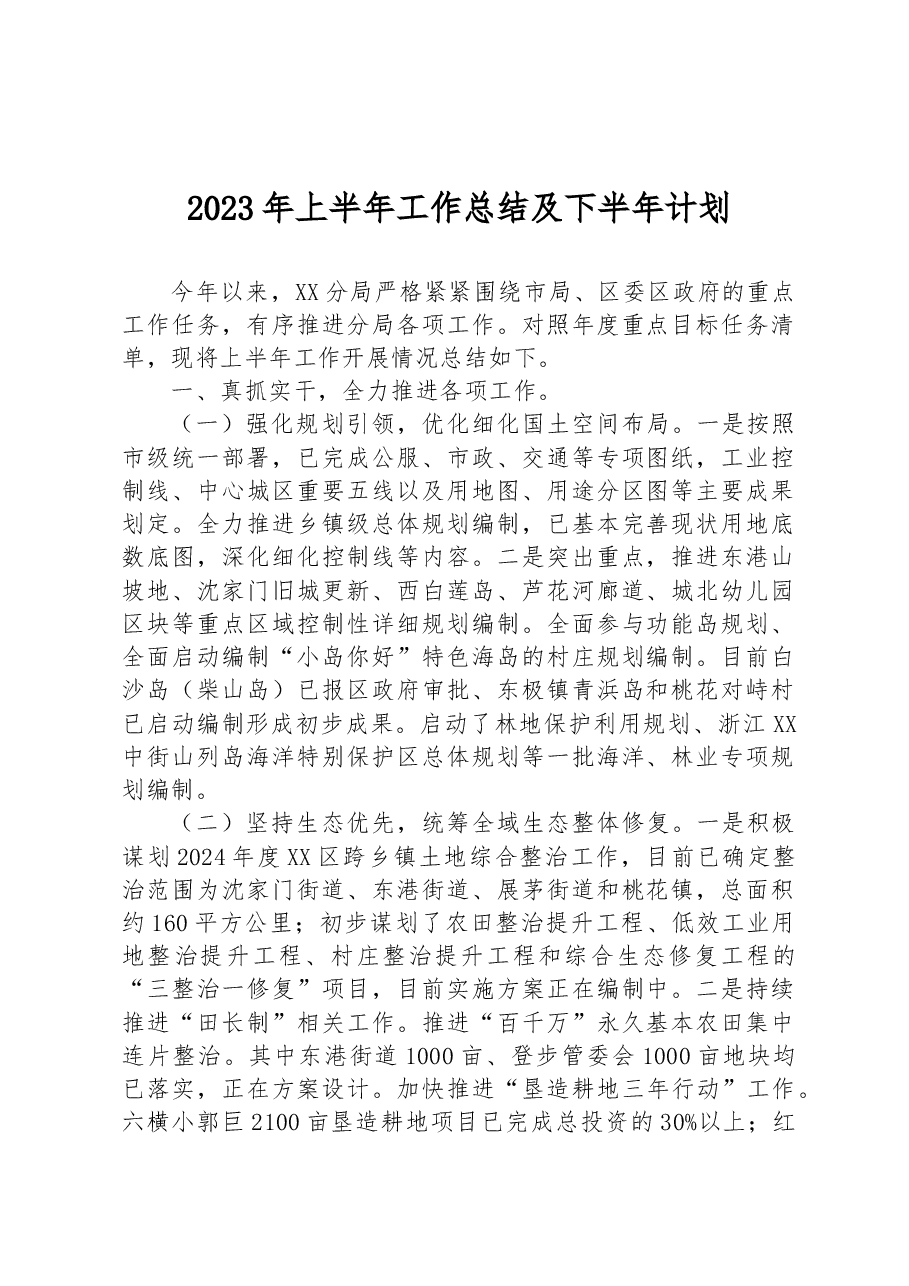 2023年上半年工作总结及下半年计划.docx,第1页预览