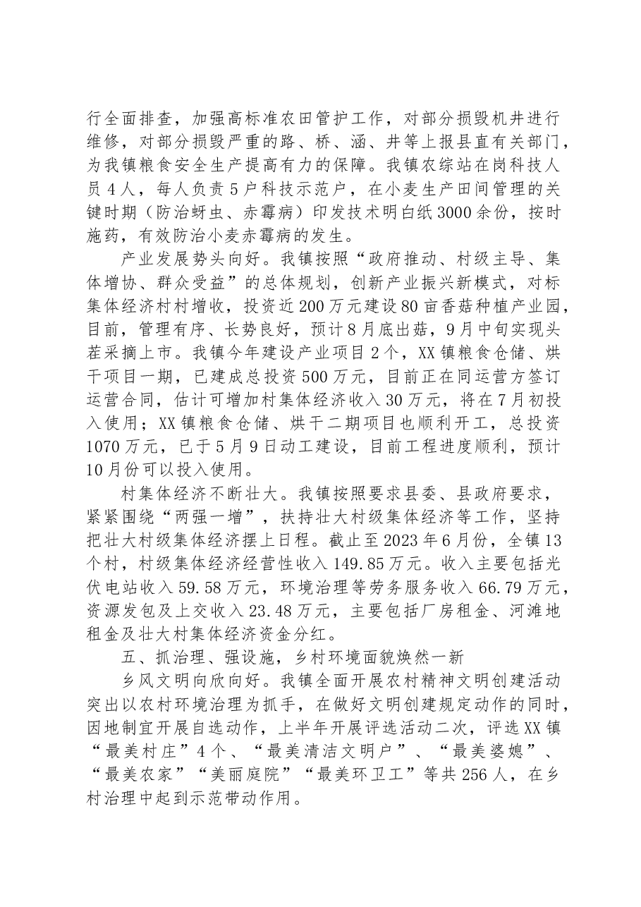 镇2023年上半年工作总结和下半年年工作计划.docx,第4页预览