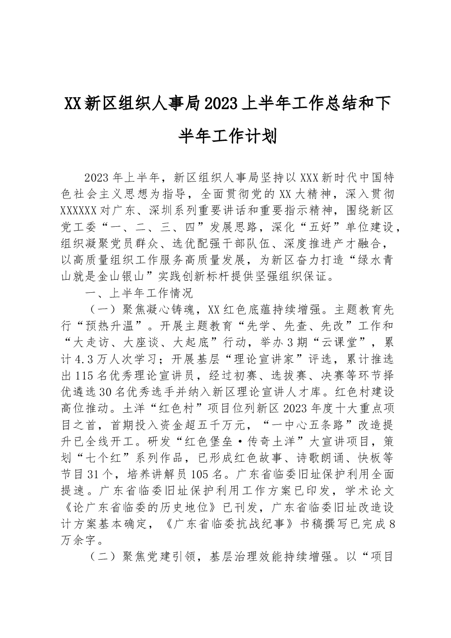 XX新区组织人事局2023上半年工作总结和下半年工作计划.docx，第1页预览