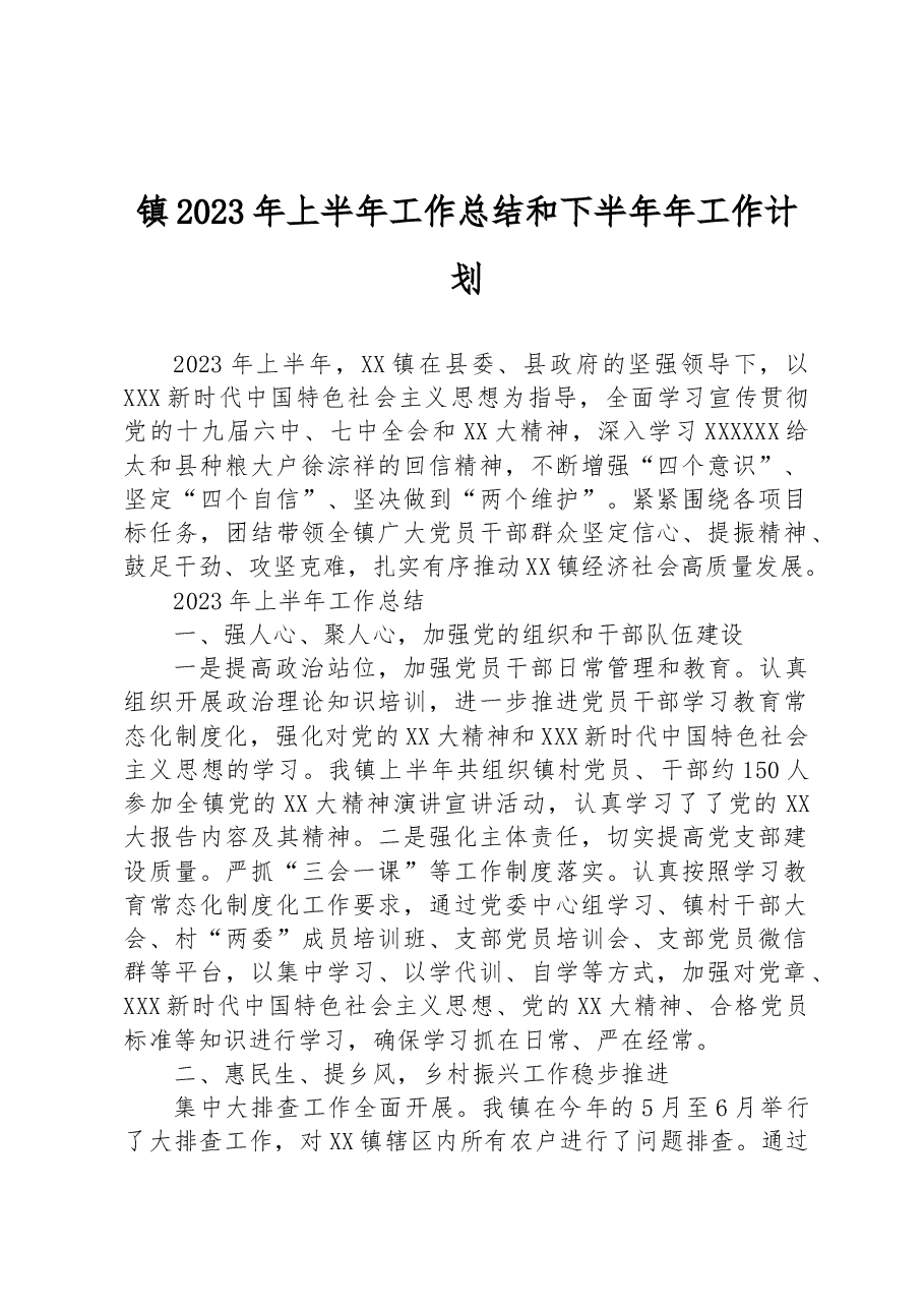镇2023年上半年工作总结和下半年年工作计划.docx,第1页预览