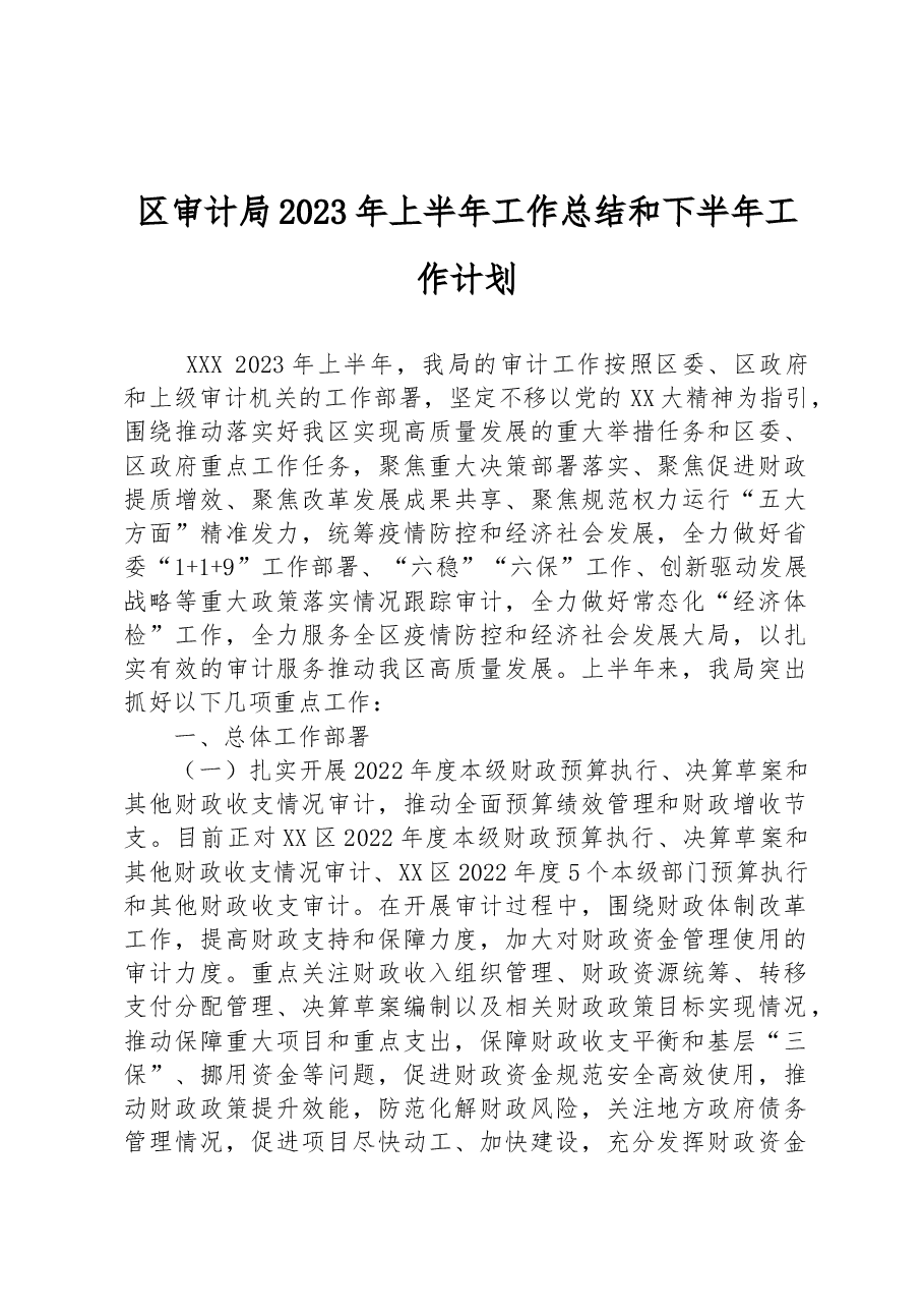 区审计局2023年上半年工作总结和下半年工作计划.docx,第1页预览