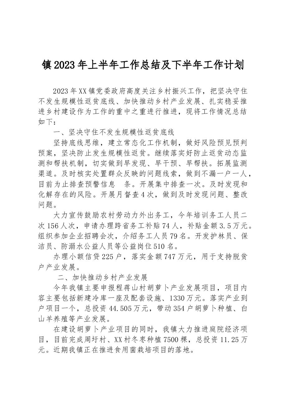 镇2023年上半年工作总结及下半年工作计划打算.docx,第1页预览