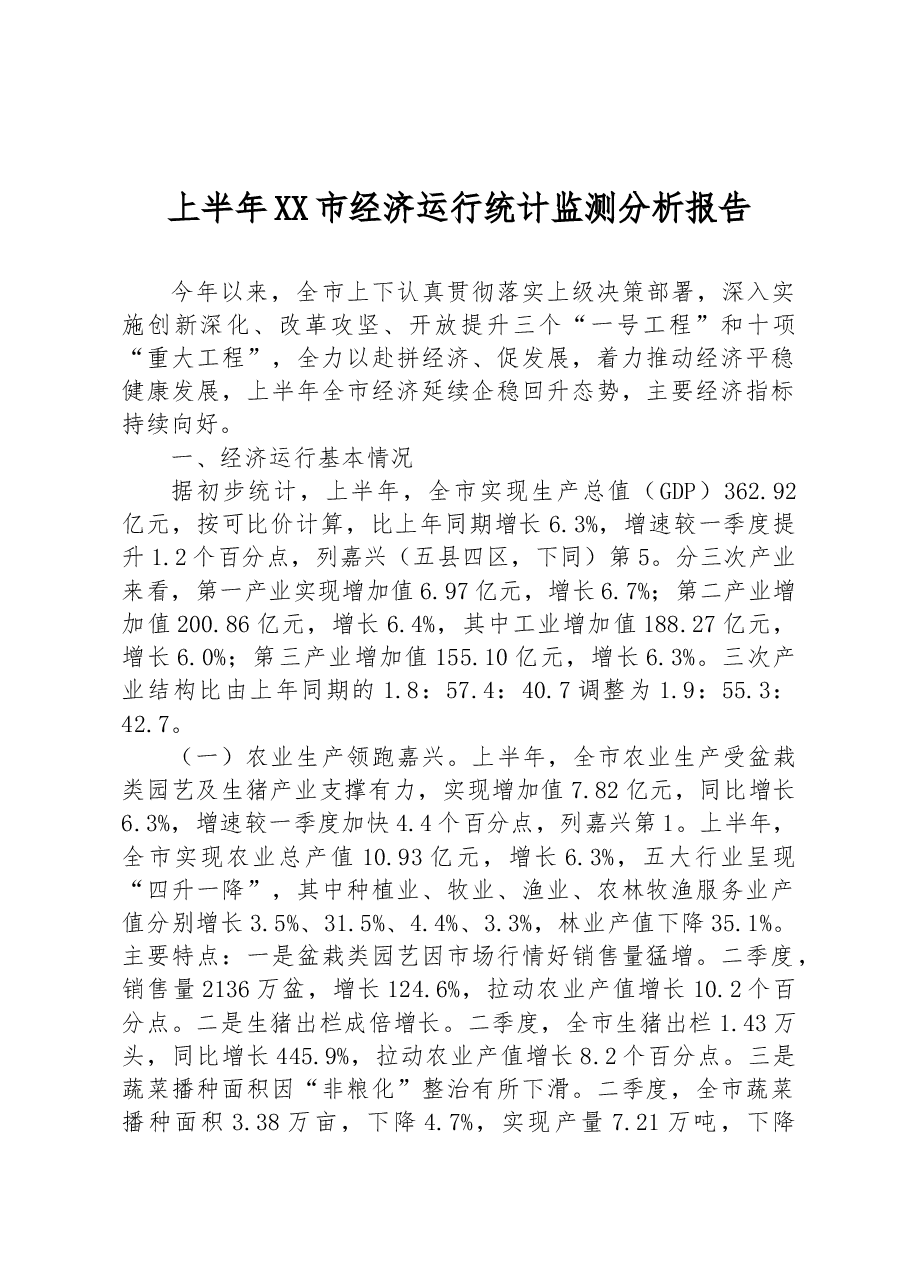 2023年上半年XX市经济运行统计监测分析报告.docx,第1页预览
