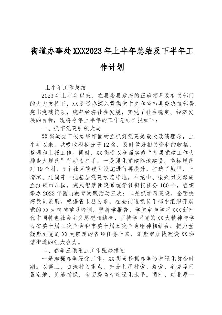 街道办事处2023年上半年总结及下半年工作计划.docx,第1页预览