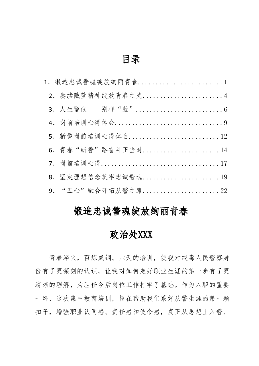 (9篇)2023年新录用公务员岗前培训心得体会汇编.docx,第1页预览