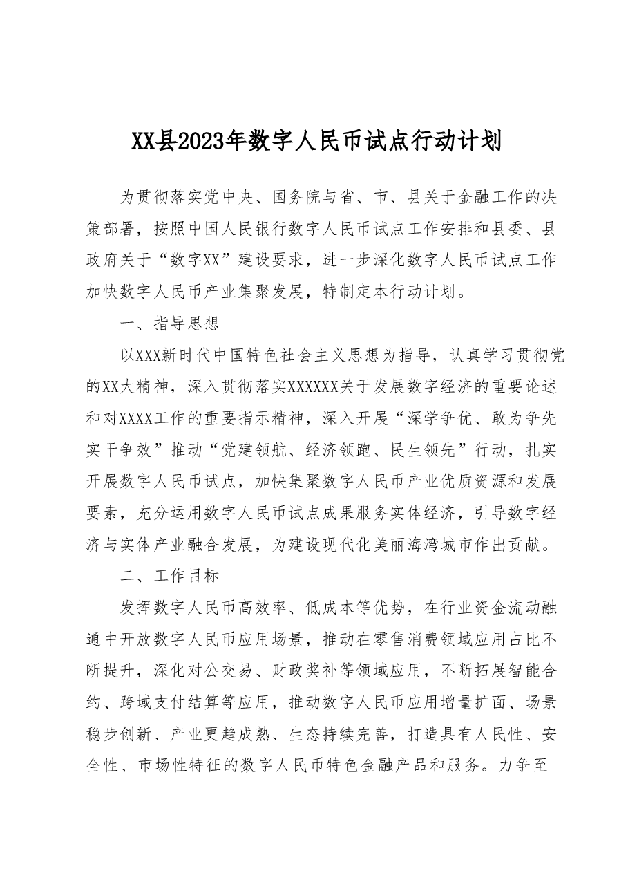 XX县2023年数字人民币试点行动计划.doc,第1页预览