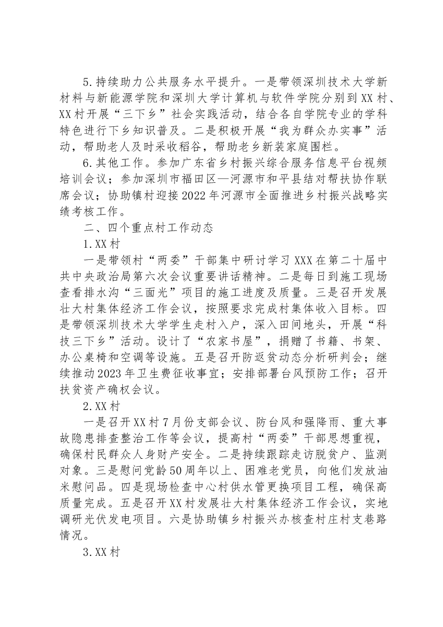 XX镇驻镇帮扶村工作队2023年7月工作总结.docx,第2页预览