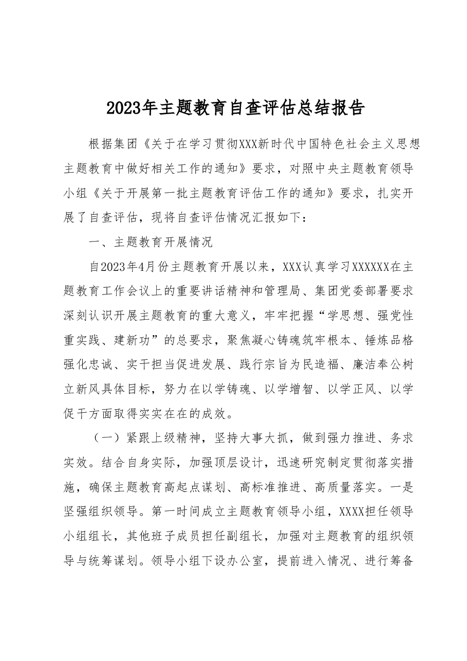 2023年主题教育自查评估总结报告.docx,第1页预览