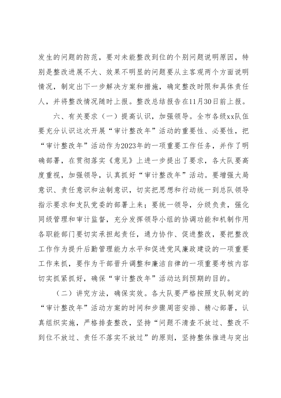 审计整改活动实施方案.docx,第4页预览