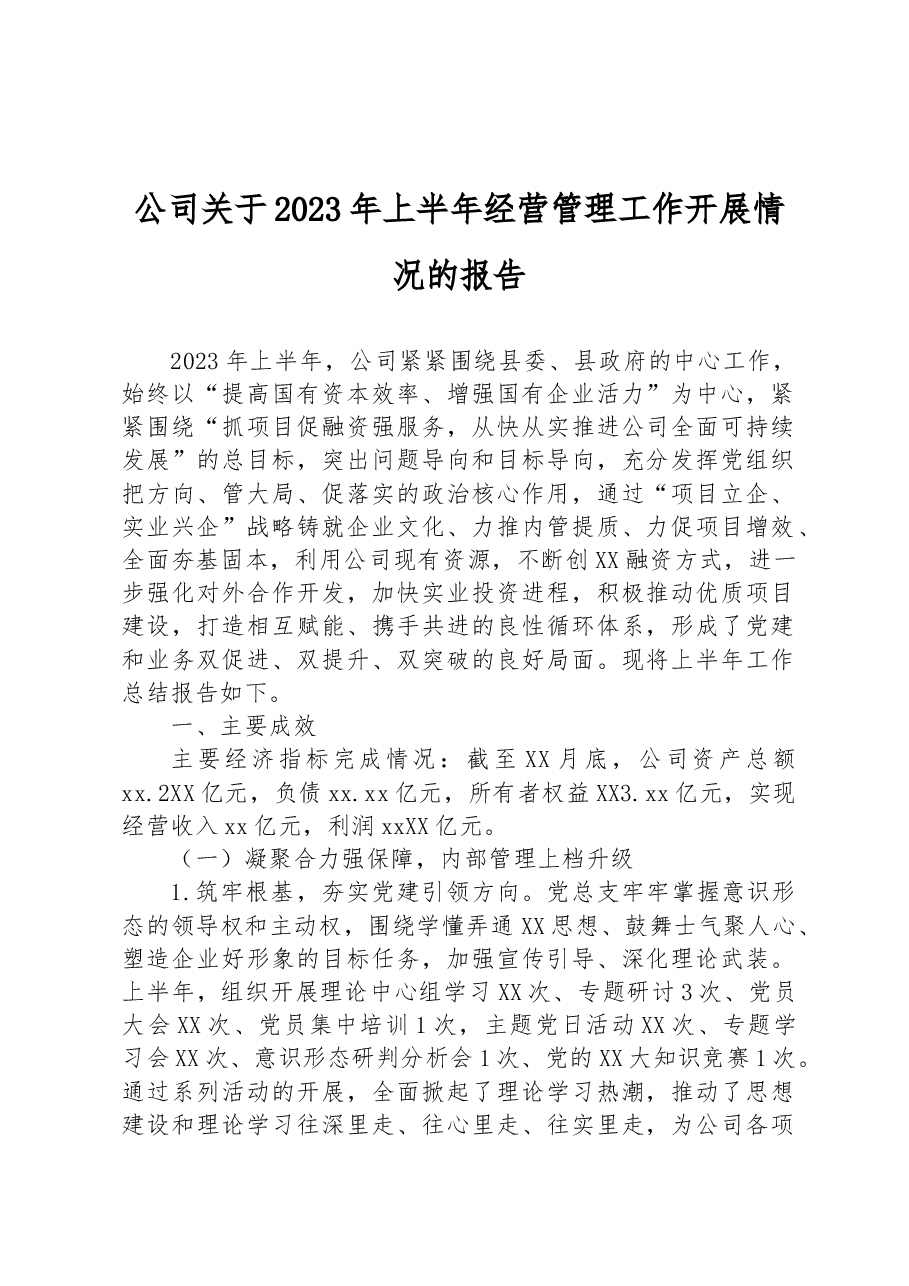 公司关于2023年上半年经营管理工作开展情况的报告.docx，第1页预览