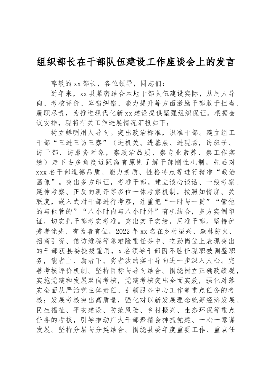 组织部长在干部队伍建设工作座谈会上的发言.docx,第1页预览