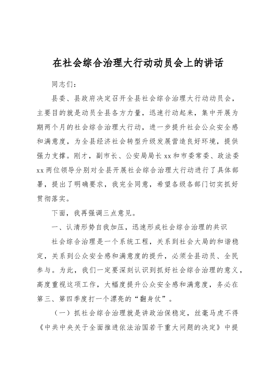 在社会综合治理大行动动员会上的讲话.docx,第1页预览