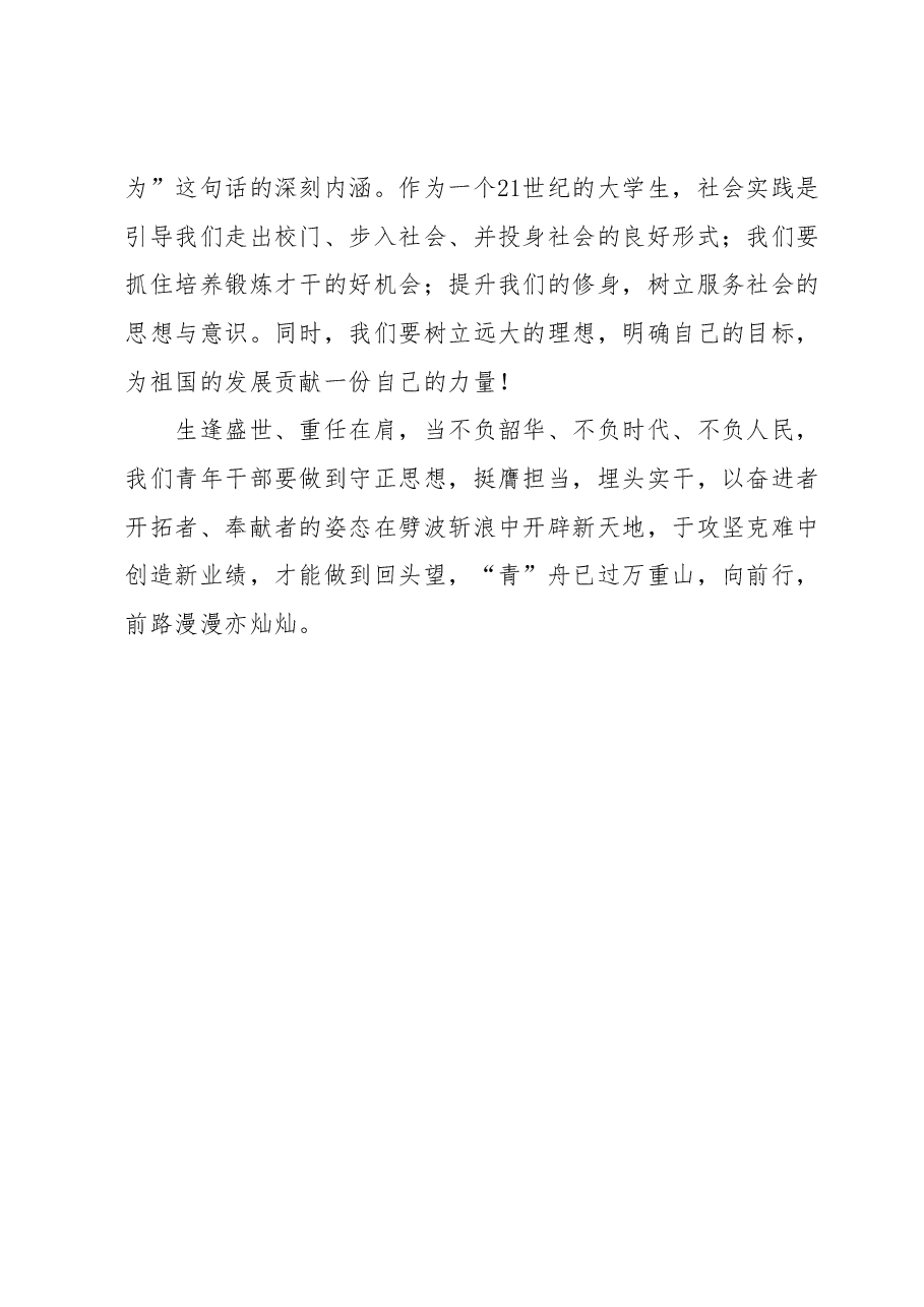 党课稿:“青”舟无惧万重山奋楫扬帆新征程.docx,第4页预览