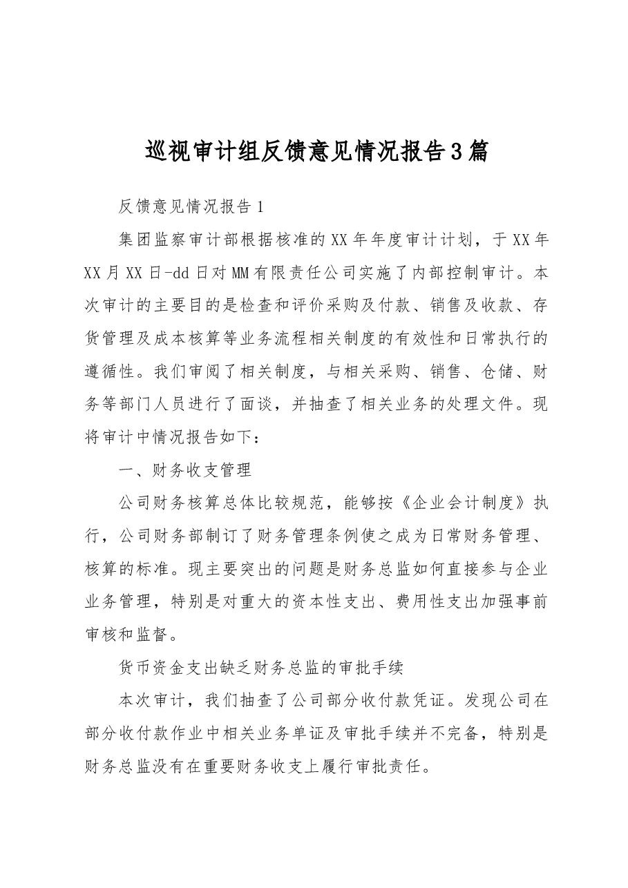 (3篇)巡视审计组反馈意见情况报告.docx,第1页预览
