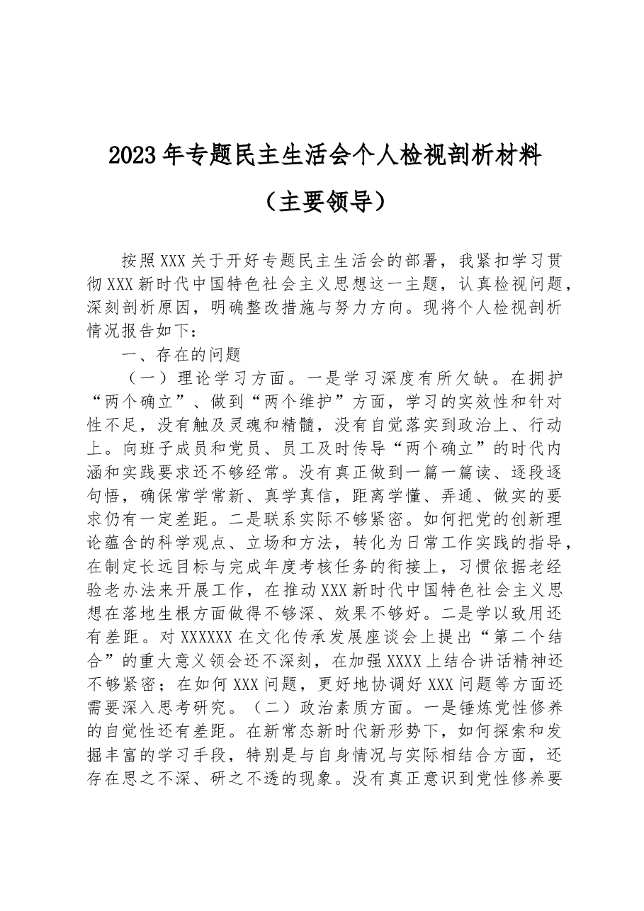 2023年专题民主生活会个人检视剖析材料（主要领导）.docx，第1页预览