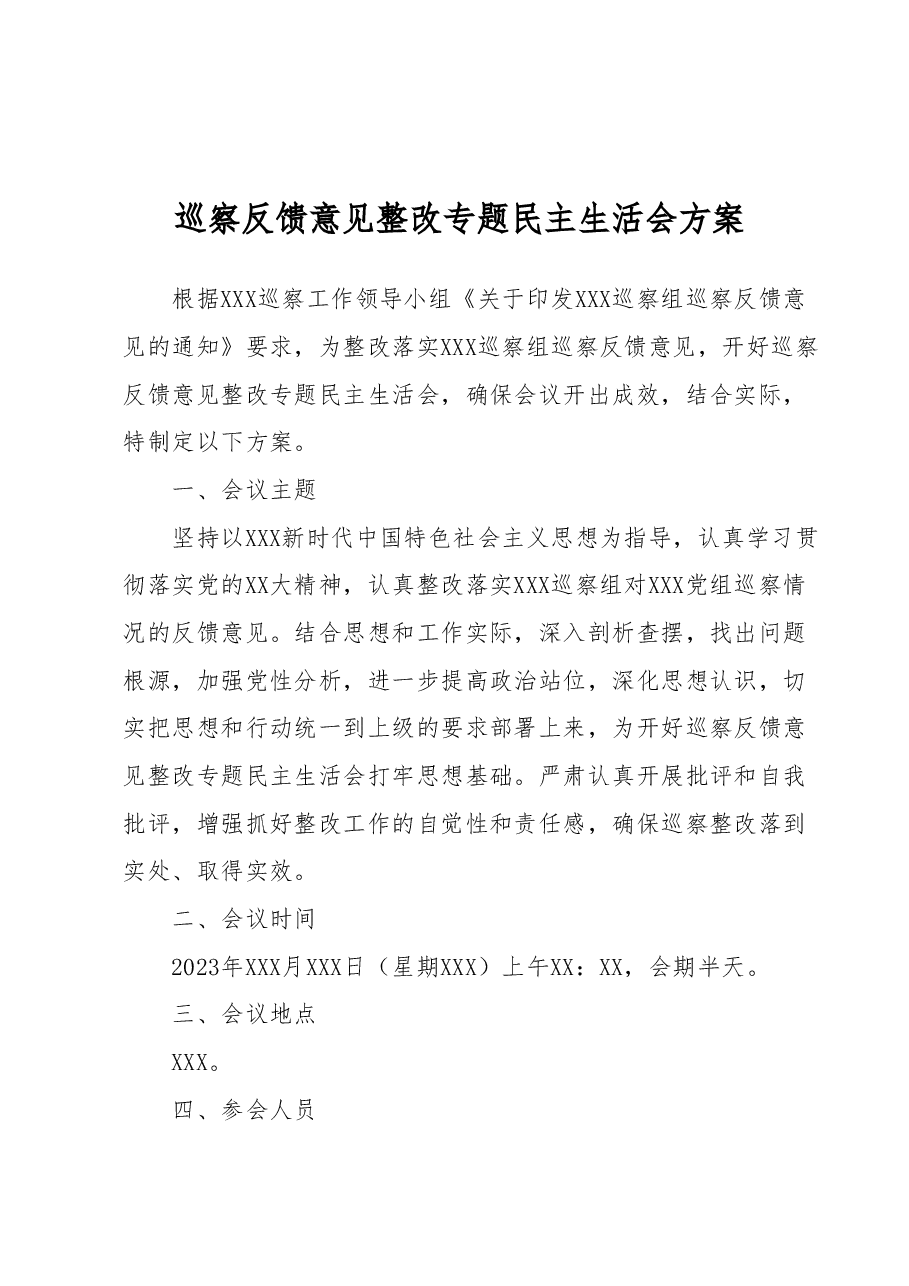 巡察反馈意见整改专题民主生活会方案.docx,第1页预览