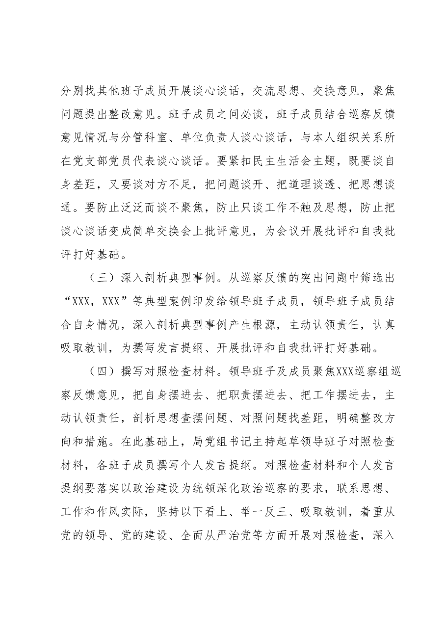 巡察反馈意见整改专题民主生活会方案.docx,第3页预览