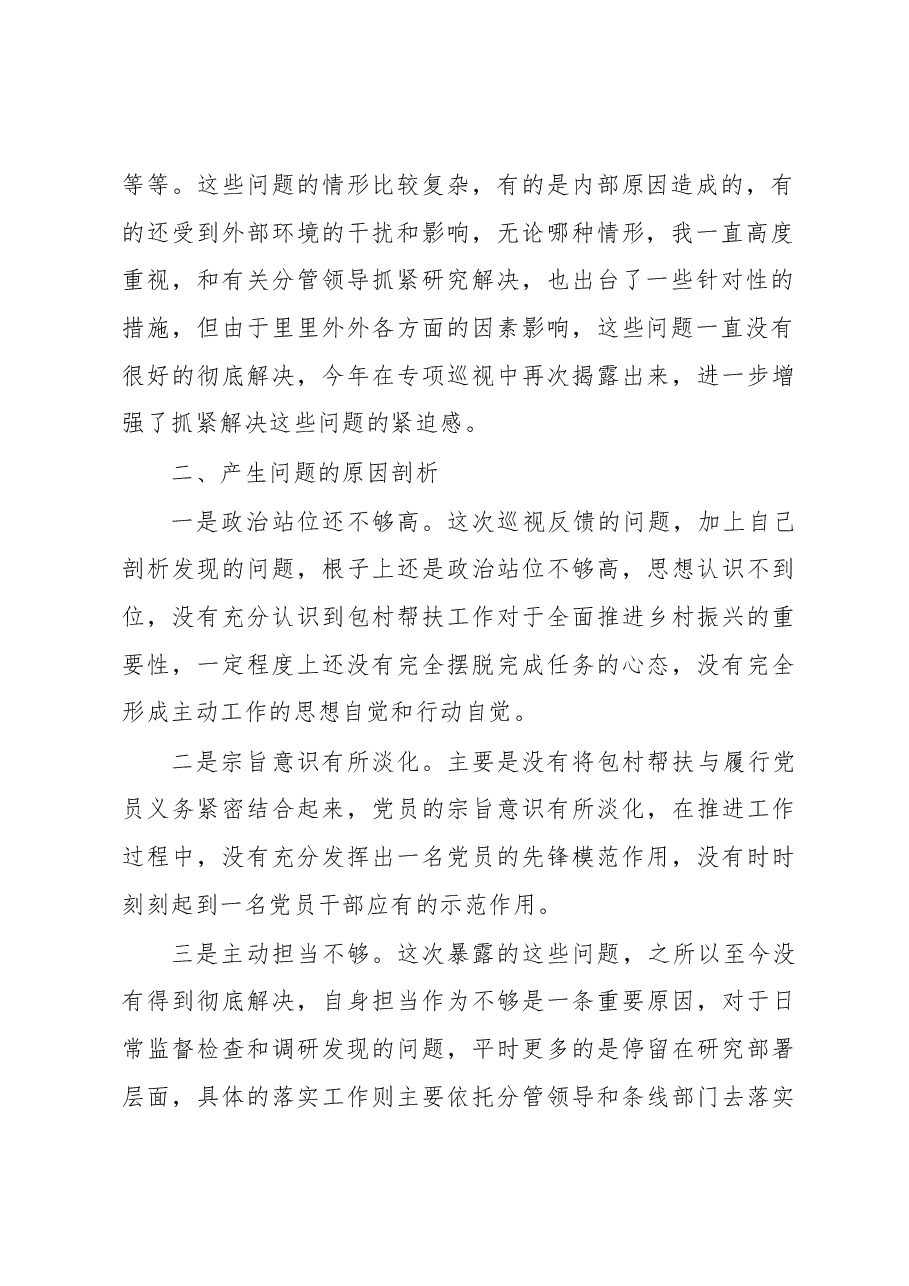 包村帮扶领导巡视整改民主生活会发言材料.docx，第2页预览