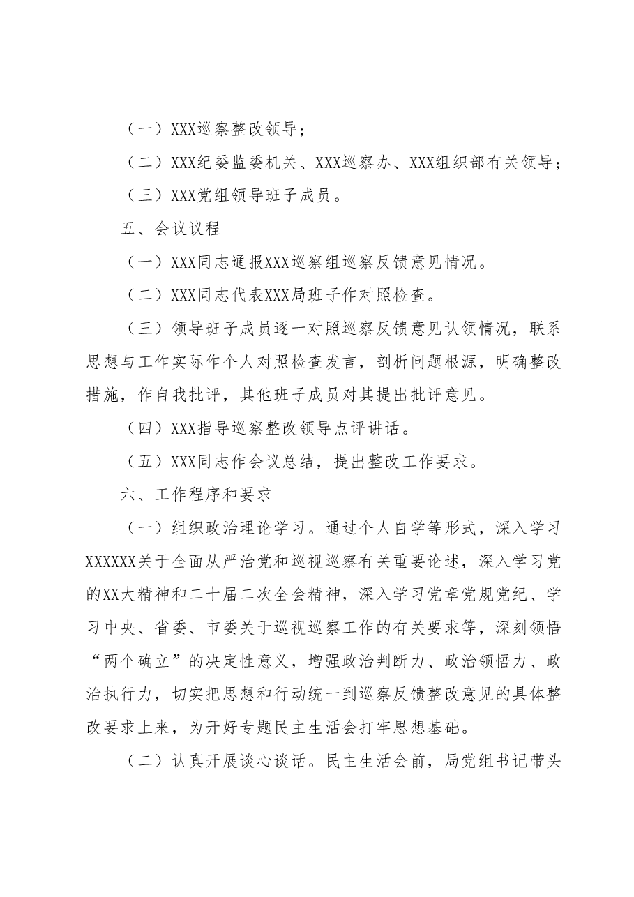 巡察反馈意见整改专题民主生活会方案.docx,第2页预览