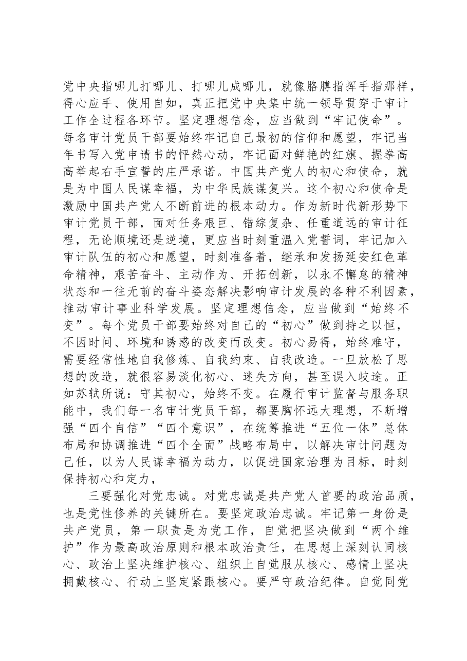 区县审计局主题教育党课讲稿.docx,第4页预览