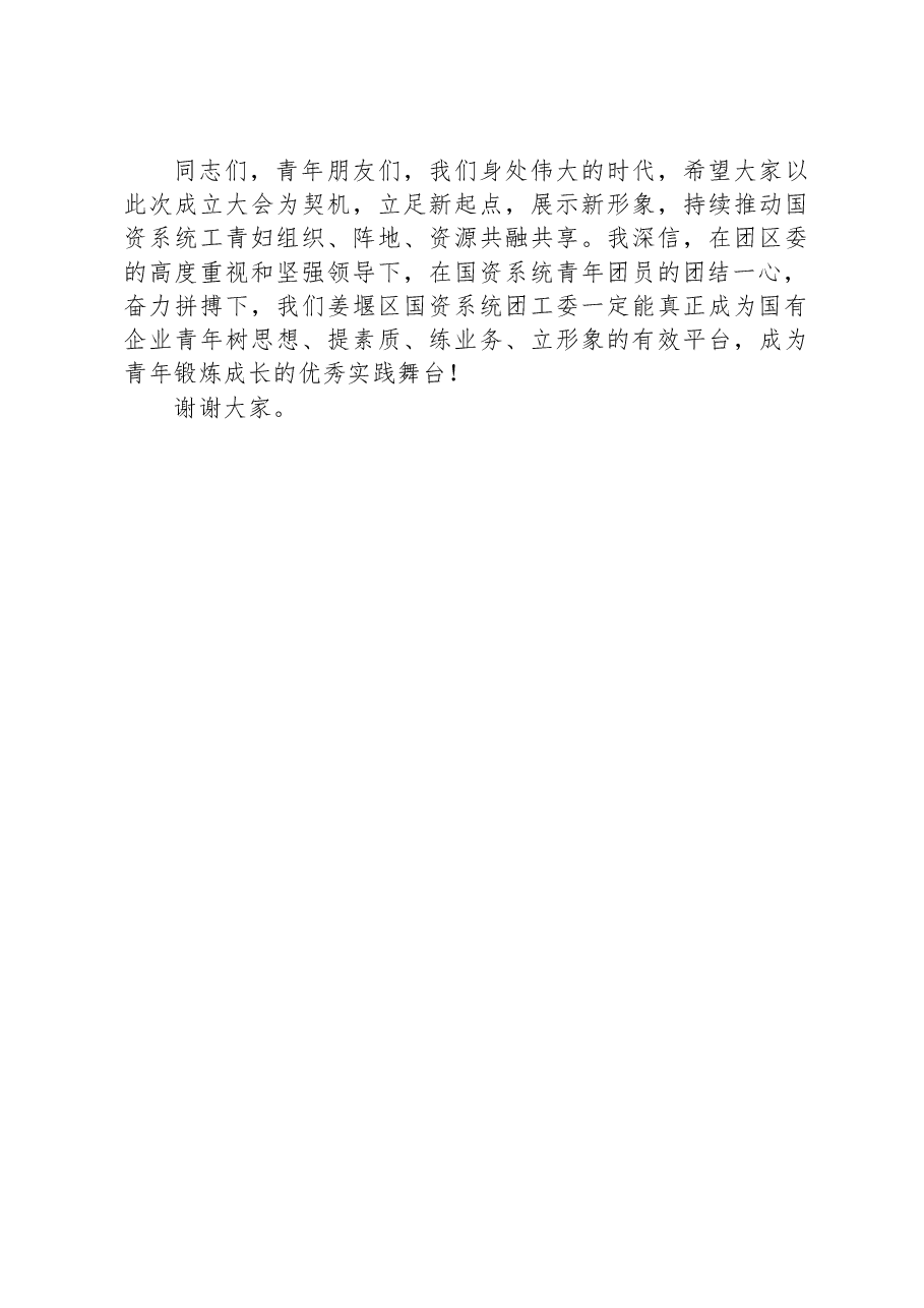 国资办党委书记在国资系统团工委成立大会上的讲话.docx,第3页预览