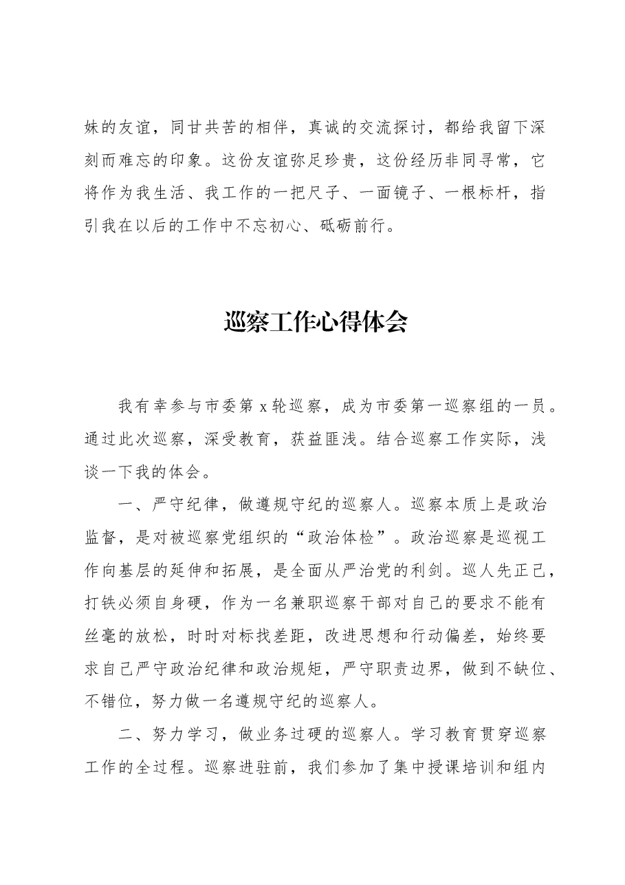（22篇）巡察工作心得体会汇编.docx，第4页预览