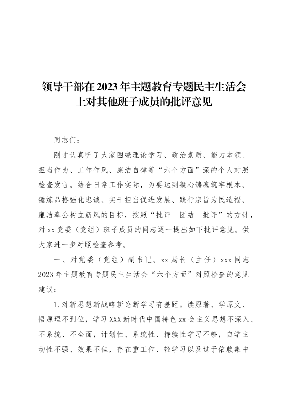 领导干部在2023年主题教育专题民主生活会上对其他班子成员的批评意见.docx,第1页预览