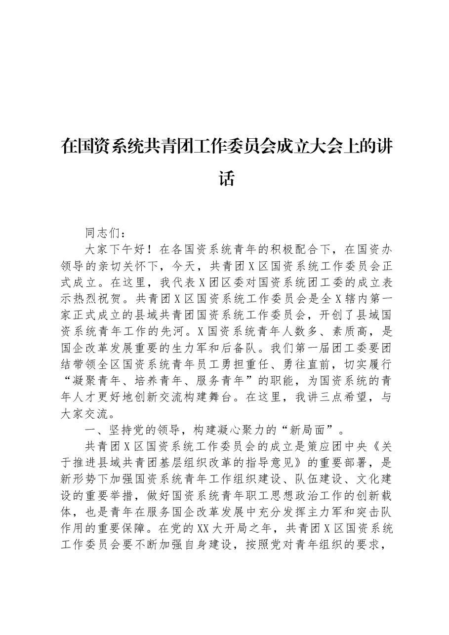 在国资系统共青团工作委员会成立大会上的讲话.docx,第1页预览