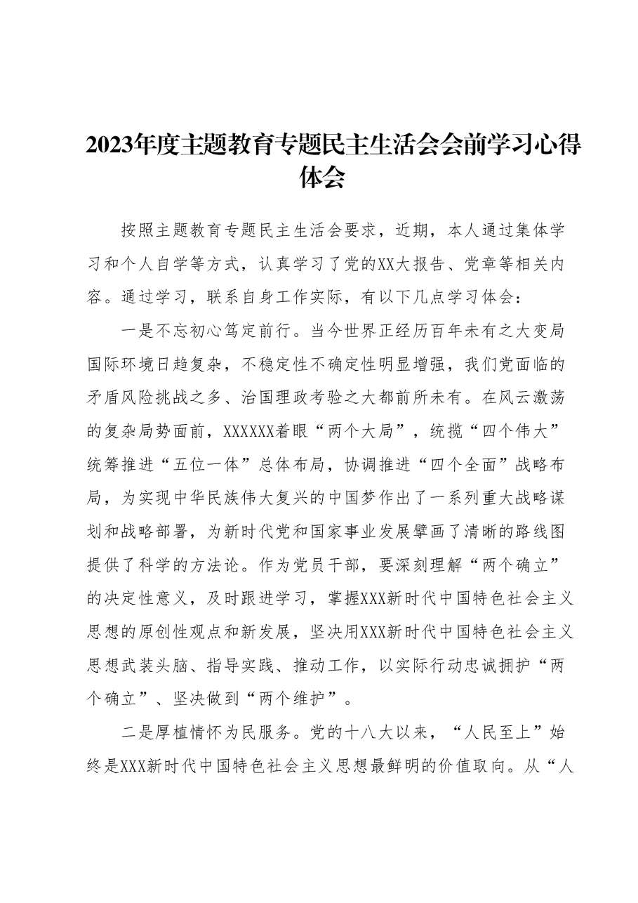 2023年度主题教育专题民主生活会会前学习心得体会 (2).docx,第1页预览