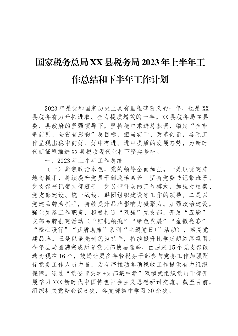 国家税务总局XX县税务局2023年上半年工作总结和下半年工作计划.docx,第1页预览