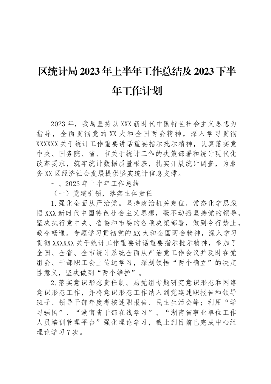 区统计局2023年上半年工作总结及2023下半年工作计划.docx,第1页预览