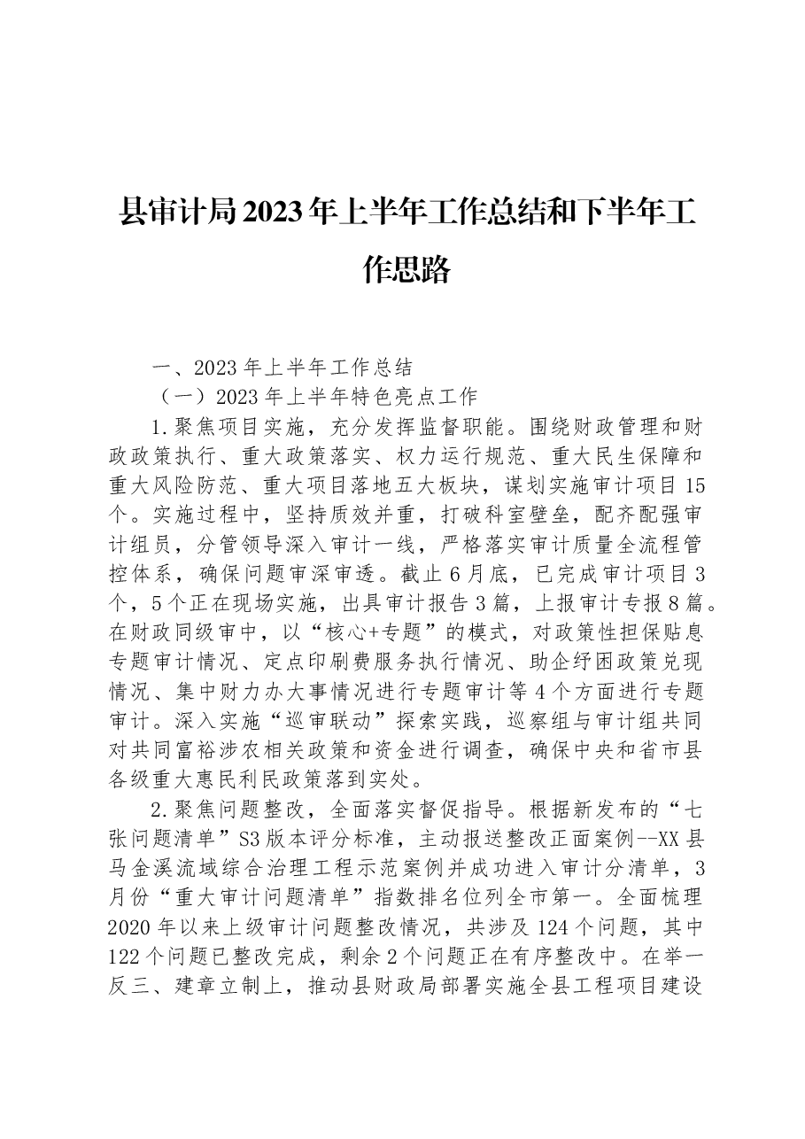 县审计局2023年上半年工作总结和下半年工作思路 .docx,第1页预览