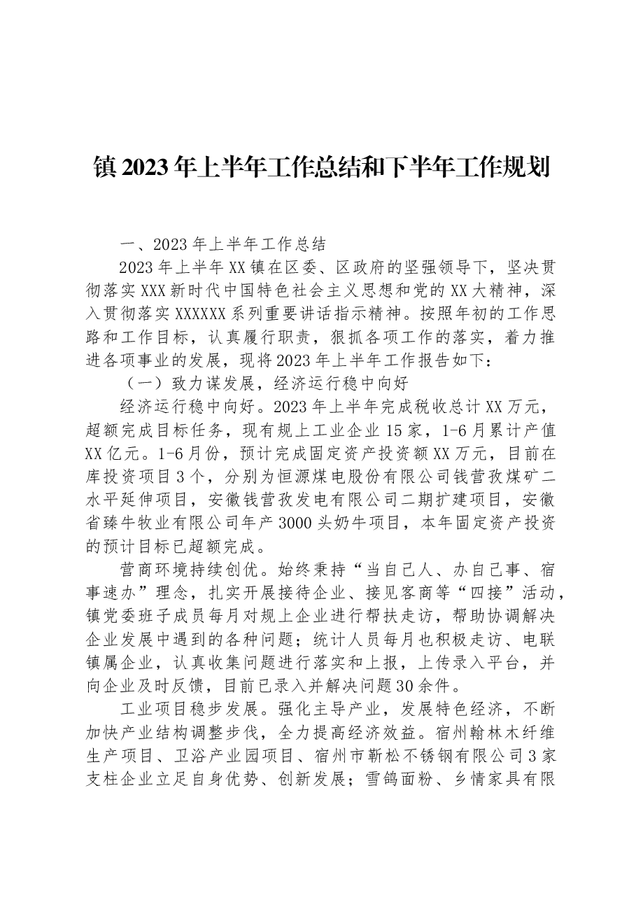镇2023年上半年工作总结和下半年工作规划 .docx,第1页预览
